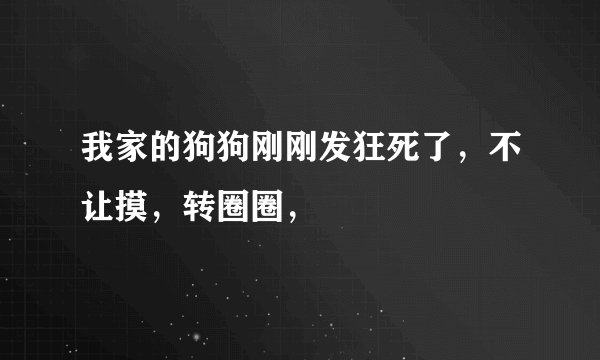 我家的狗狗刚刚发狂死了，不让摸，转圈圈，