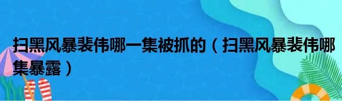 扫黑风暴裴伟哪一集被抓的（扫黑风暴裴伟哪集暴露）