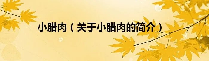 小腊肉（关于小腊肉的简介）