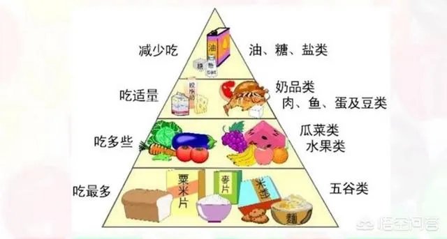 中小学校内不得设置小卖部，对此你怎么看？