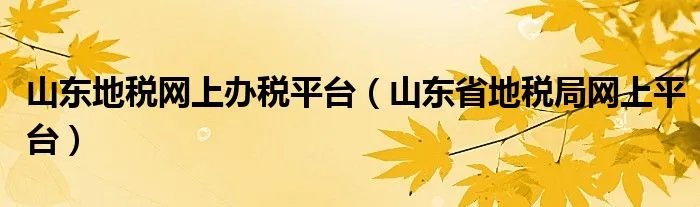 山东地税网上办税平台(山东省地税局网上平台)