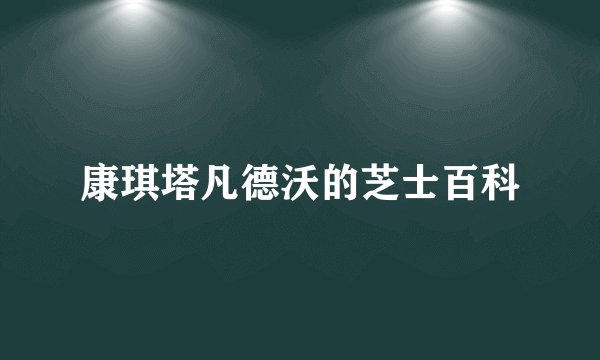 康琪塔凡德沃的芝士百科