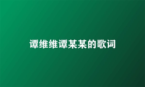 谭维维谭某某的歌词