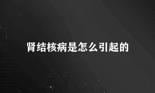 肾结核病是怎么引起的