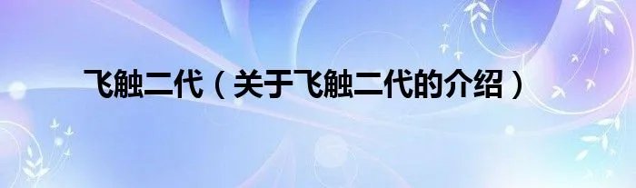 飞触二代(关于飞触二代的介绍)