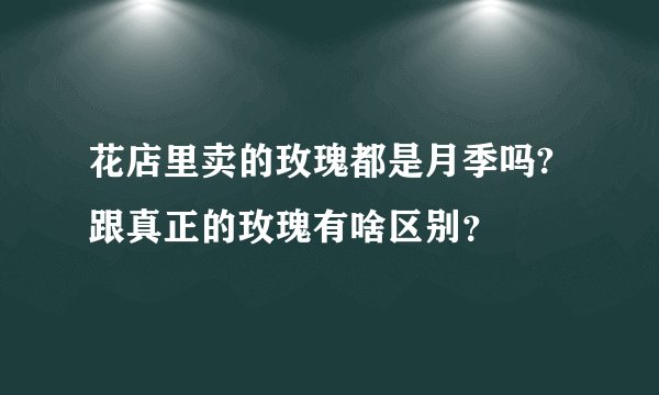 花店里卖的玫瑰都是月季吗?跟真正的玫瑰有啥区别？