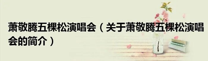 萧敬腾五棵松演唱会（关于萧敬腾五棵松演唱会的简介）
