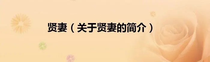 贤妻（关于贤妻的简介）