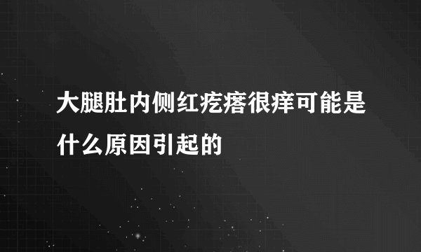 大腿肚内侧红疙瘩很痒可能是什么原因引起的