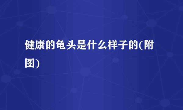 健康的龟头是什么样子的(附图)