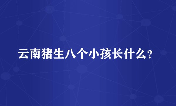 云南猪生八个小孩长什么？