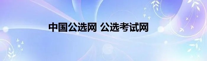 中国公选网 公选考试网