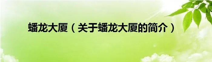 蟠龙大厦（关于蟠龙大厦的简介）