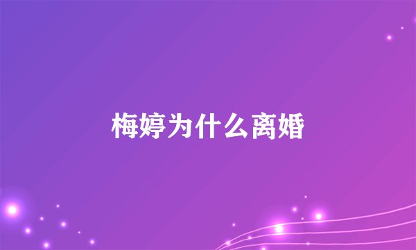 梅婷为什么离婚