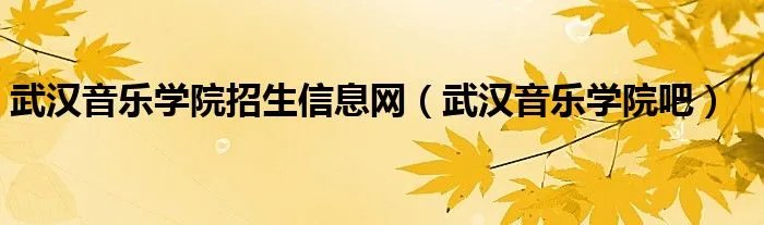 武汉音乐学院招生信息网(武汉音乐学院吧)