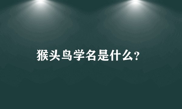 猴头鸟学名是什么?