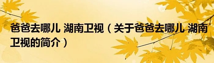 爸爸去哪儿 湖南卫视（关于爸爸去哪儿 湖南卫视的简介）