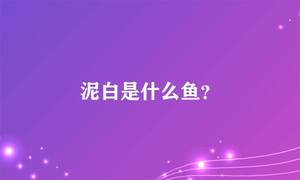 泥白是什么鱼？