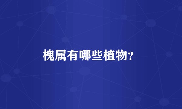 槐属有哪些植物？