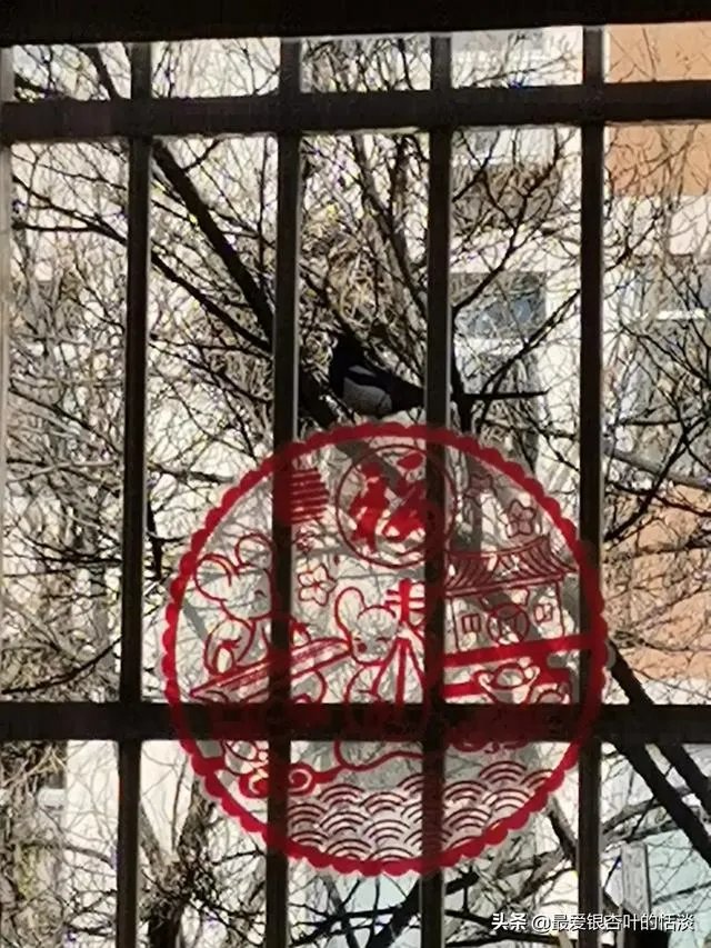 为疫情一线人员发“强制休息令”，您支持吗？