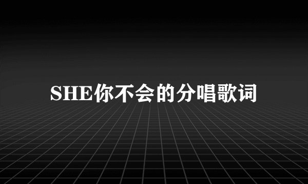 SHE你不会的分唱歌词
