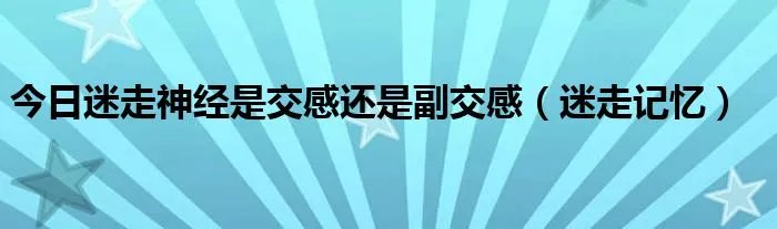 今日迷走神经是交感还是副交感（迷走记忆）