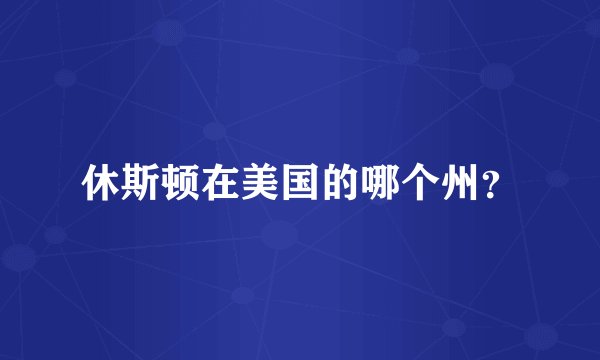 休斯顿在美国的哪个州？