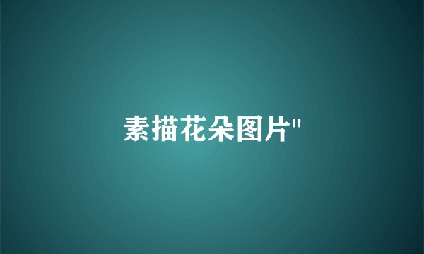 素描花朵图片