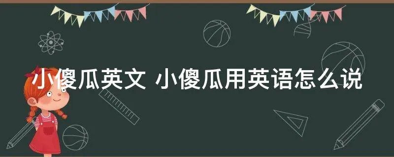 小傻瓜英文 小傻瓜用英语怎么说