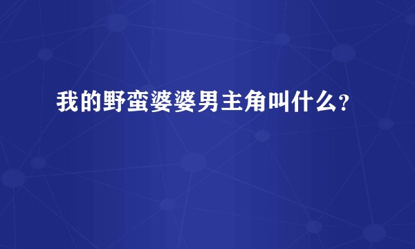 我的野蛮婆婆男主角叫什么?