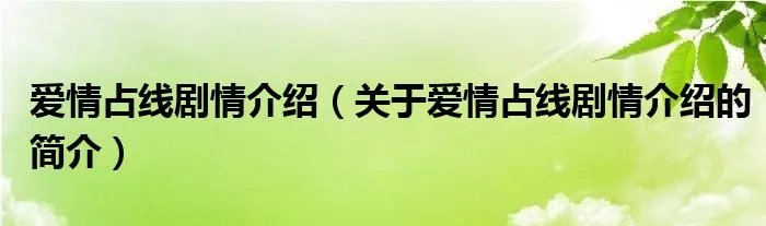 爱情占线剧情介绍（关于爱情占线剧情介绍的简介）