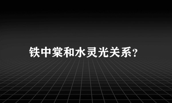铁中棠和水灵光关系？