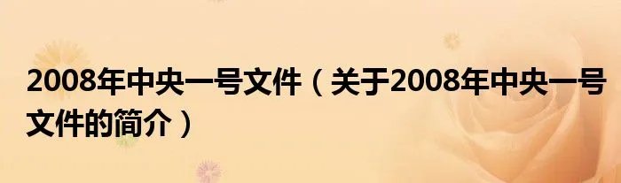 2008年中央一号文件（关于2008年中央一号文件的简介）