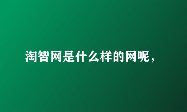 淘智网是什么样的网呢，