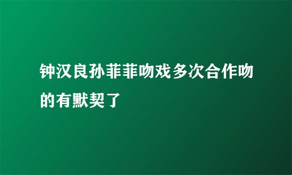 钟汉良孙菲菲吻戏多次合作吻的有默契了
