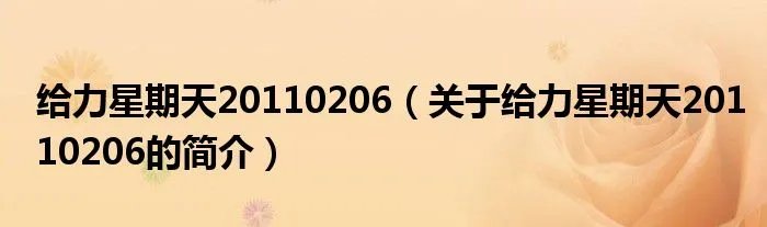 给力星期天20110206（关于给力星期天20110206的简介）