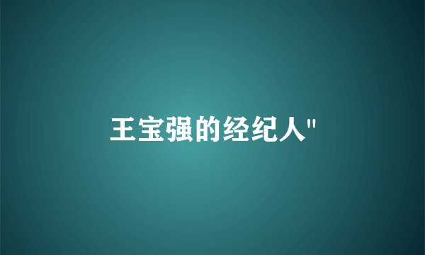 王宝强的经纪人