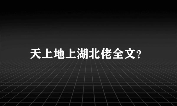 天上地上湖北佬全文？
