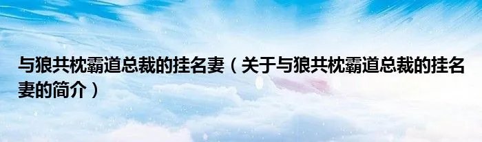 与狼共枕霸道总裁的挂名妻（关于与狼共枕霸道总裁的挂名妻的简介）