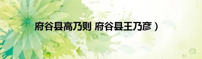 府谷县高乃则 府谷县王乃彦）
