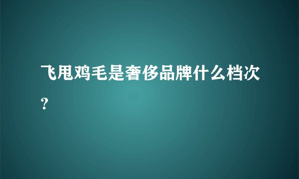 飞甩鸡毛是奢侈品牌什么档次?