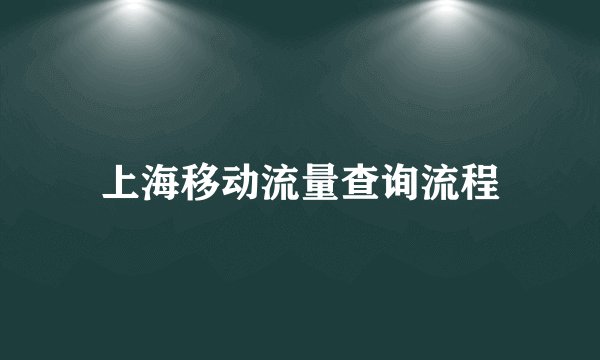 上海移动流量查询流程