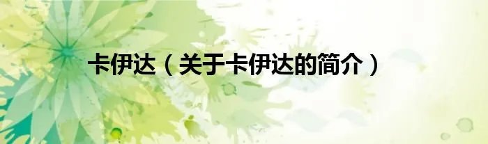 卡伊达（关于卡伊达的简介）