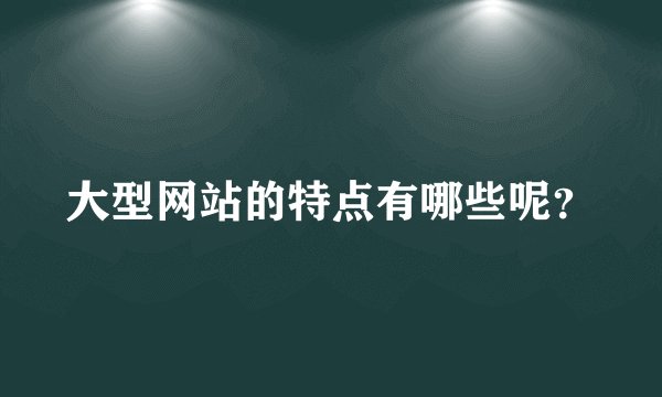 大型网站的特点有哪些呢？