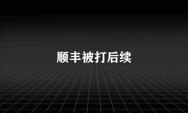 顺丰被打后续