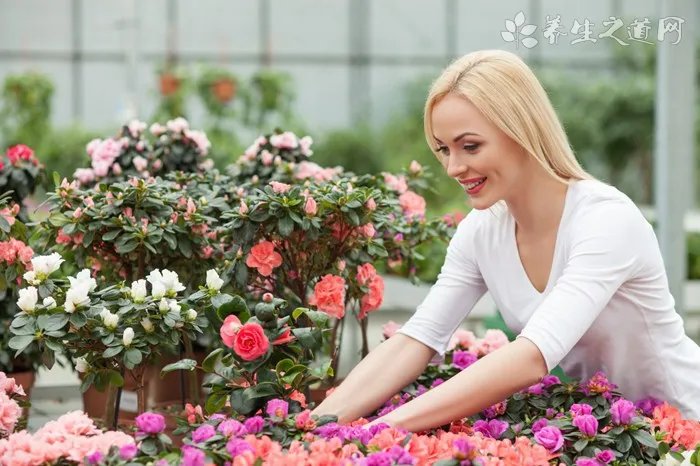 老人怎样修身养性