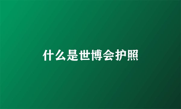 什么是世博会护照