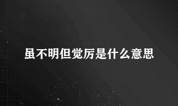 虽不明但觉厉是什么意思
