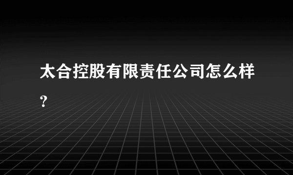 太合控股有限责任公司怎么样？