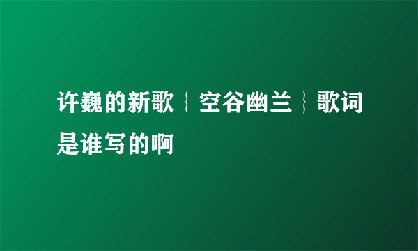 许巍的新歌｛空谷幽兰｝歌词是谁写的啊